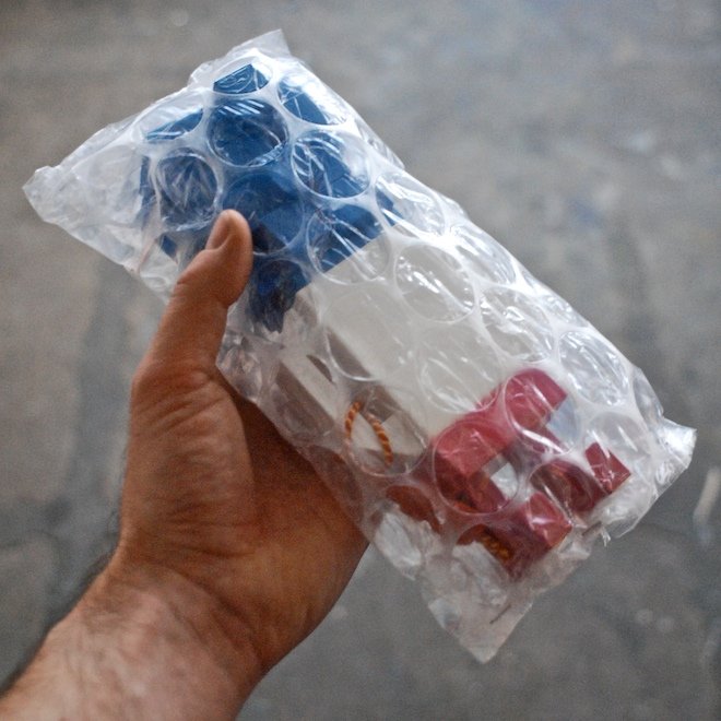 Brains Tricolor